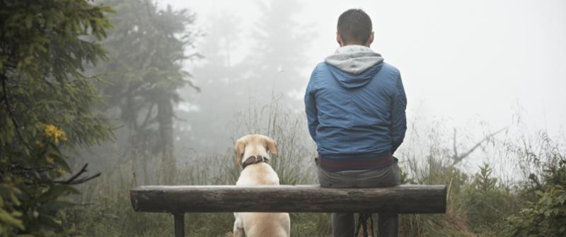 Dog and Man Photo of a man sitting on a bench in the forest with his yellow lab dog sitting next to him.